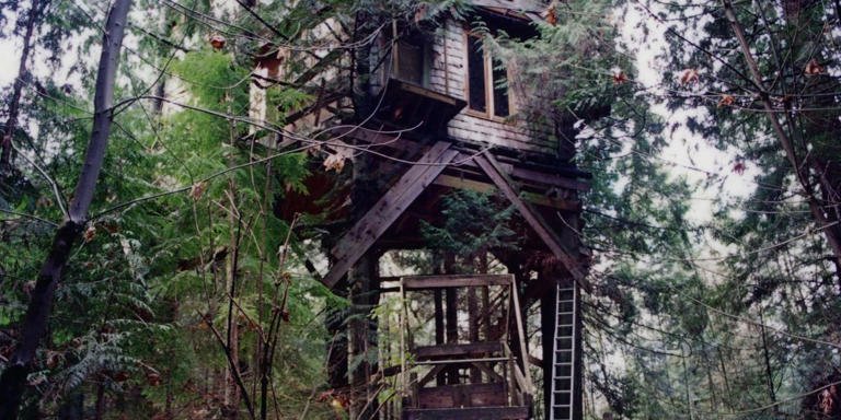 The Fascinating Story of Scott Scurlock and His Tree House