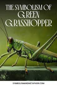 Grasshopper Spiritual Meaning: Unlocking Symbolism and Wisdom